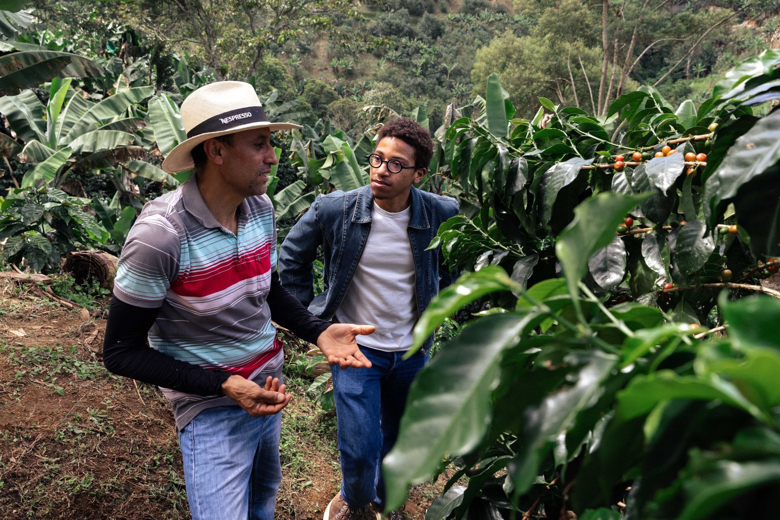 Regenerative Agriculture with Coffee Farmers, Colombia